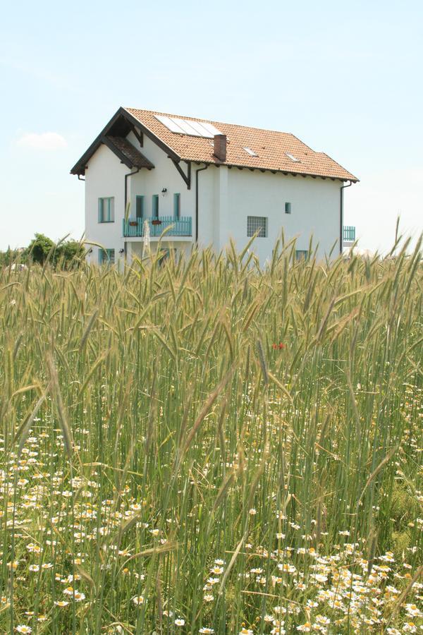 Frăgăria Hotel Zimandcuz Exterior foto